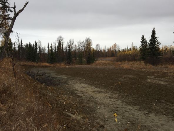 63885 Tailwind Rd, Ninilchik, AK 99639